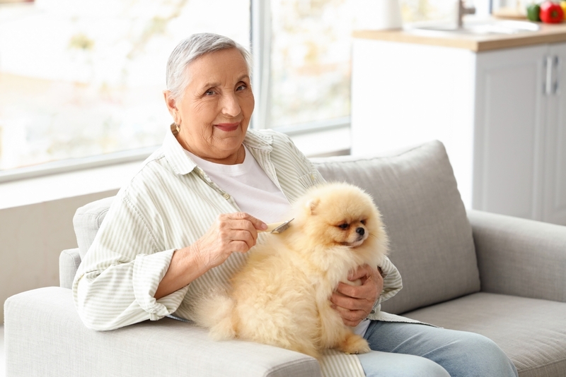 Имя для шпица-мальчика нужно выбирать тщательно