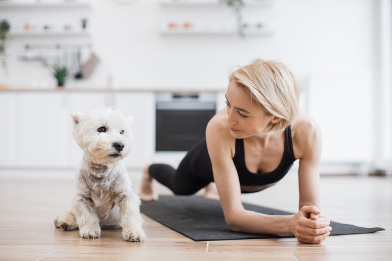 Собака может выполнять планку вместе с вами