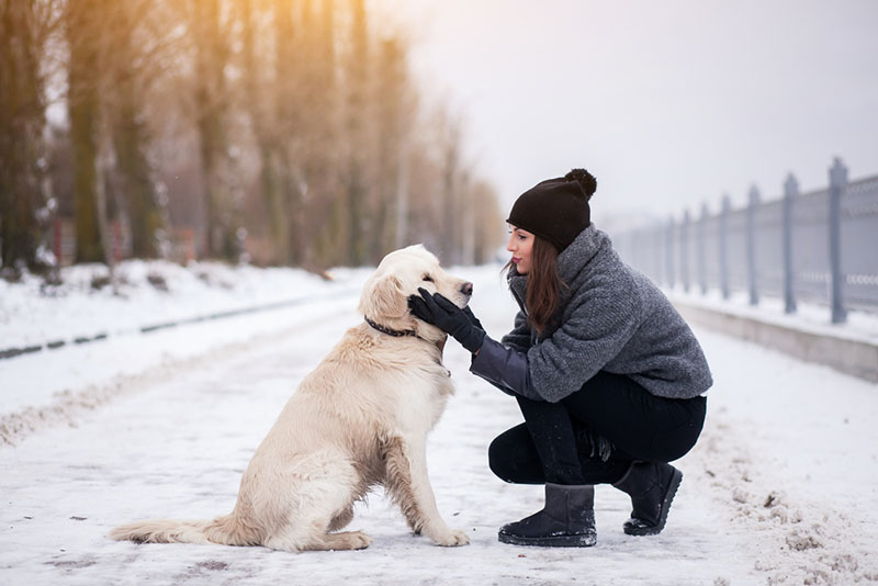 Гулять ли с собакой в мороз. Собака в снегу. Прогулка в зимнем лесу. Люди зимой. Прогулка зимой в мороз.