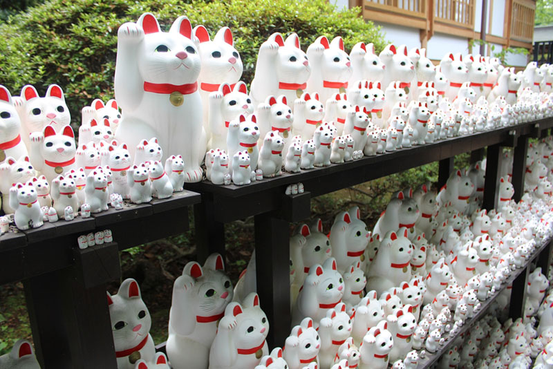 Японские коты в культуре выступают в роли символов