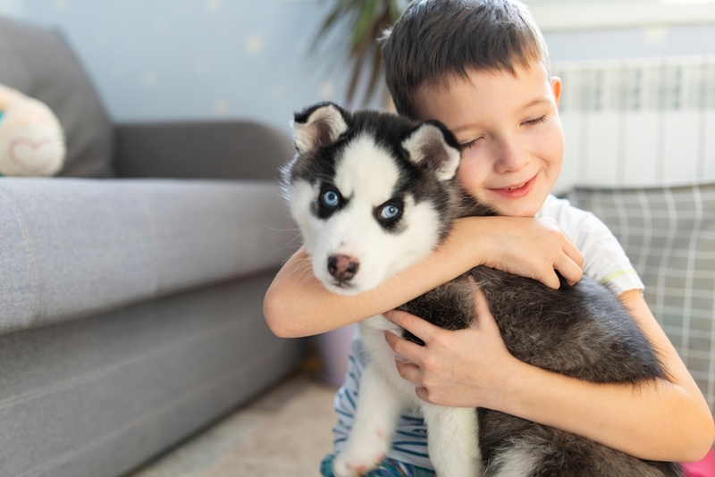 Парвовирусный гастроэнтерит опасен для щенков