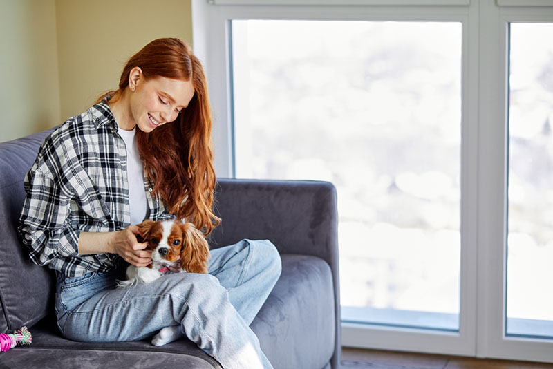 собаке может не нравится поглаживание, если она была чем-то занята в этот момент