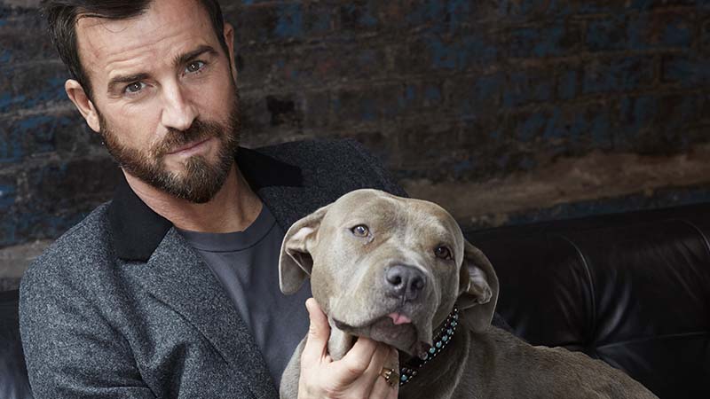 Джастин Теру берёт повсюду своего питбуля Куму