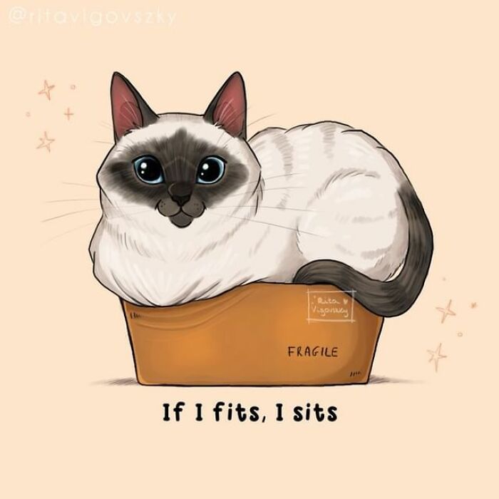 Поместюсь – усядусь