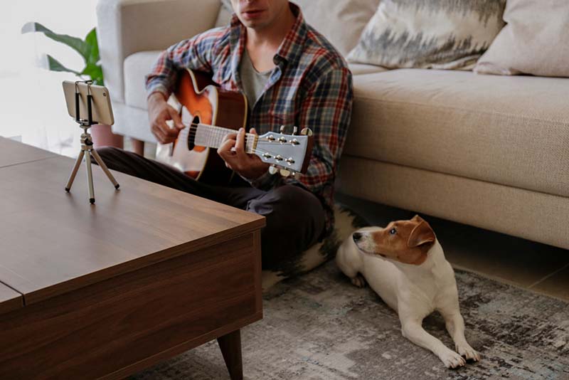 69 % респондентов рассказали, что любят петь для своих четвероногих друзей
