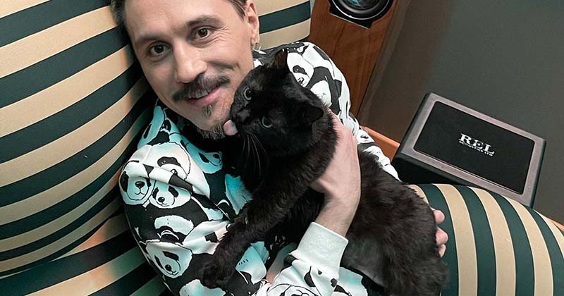Дима Билан просто обожает котиков и активно им помогает