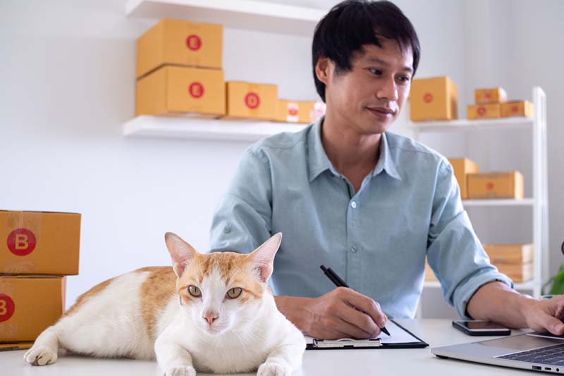 Значительная часть случаев мошенничества при покупках в интернете связаны именно с домашними животными