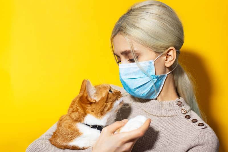 парвовирусная инфекция кошек не опасна для человека