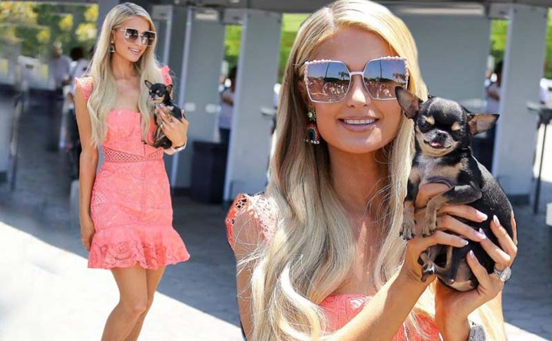 Светская львица Пэрис Хилтон дала своим любимцам роскошные имена