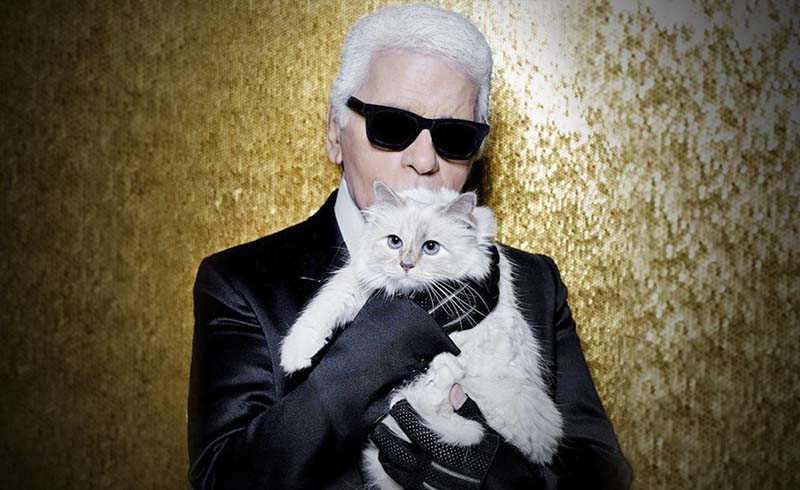 бирманская кошка Шуппет унаследовала после смерти Карла Лагерфельда 1,5 млрд рублей