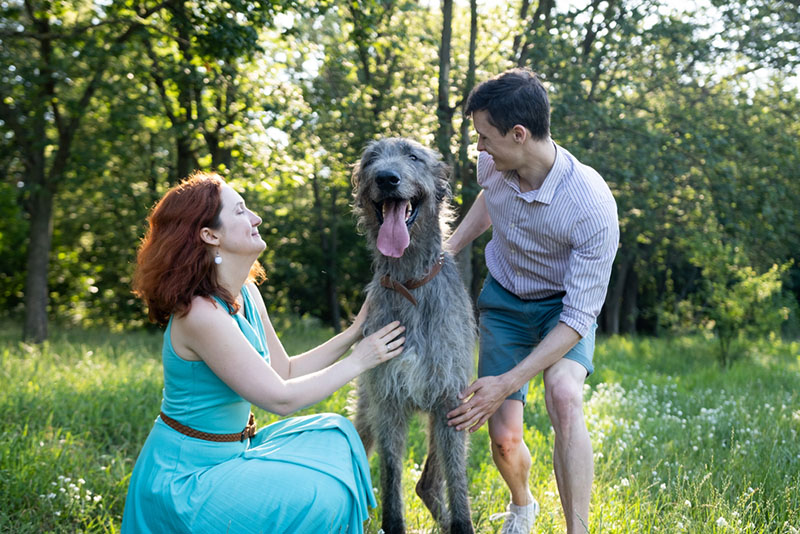 ирландский волкодав в лесу с владельцами