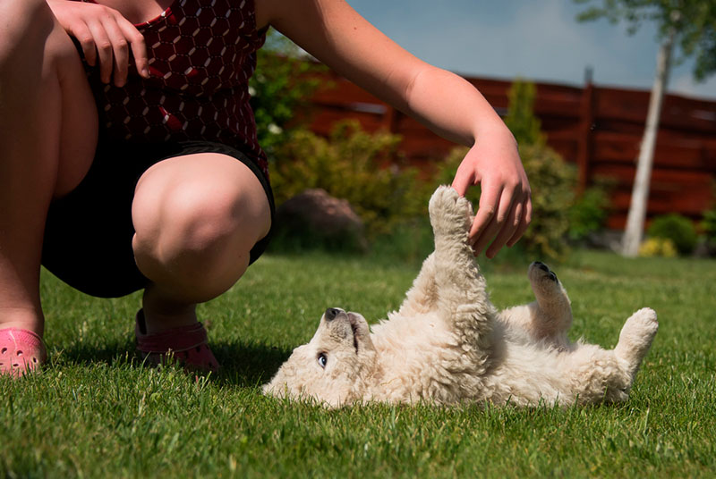 Кому подойдет кувас?