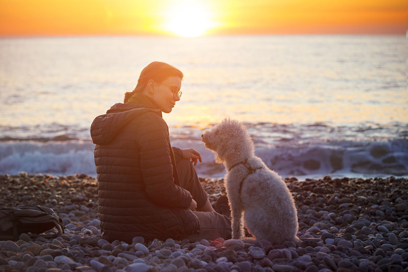 Бедлингтон-терьер с хозяйкой