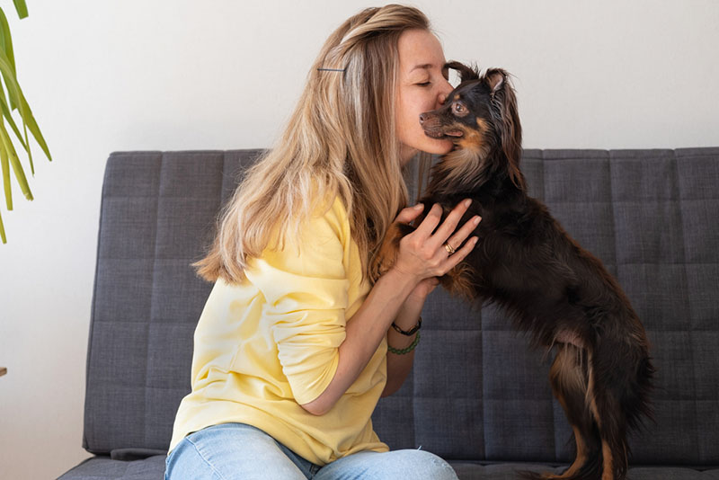 хозяйка обнимает русского той-терьера