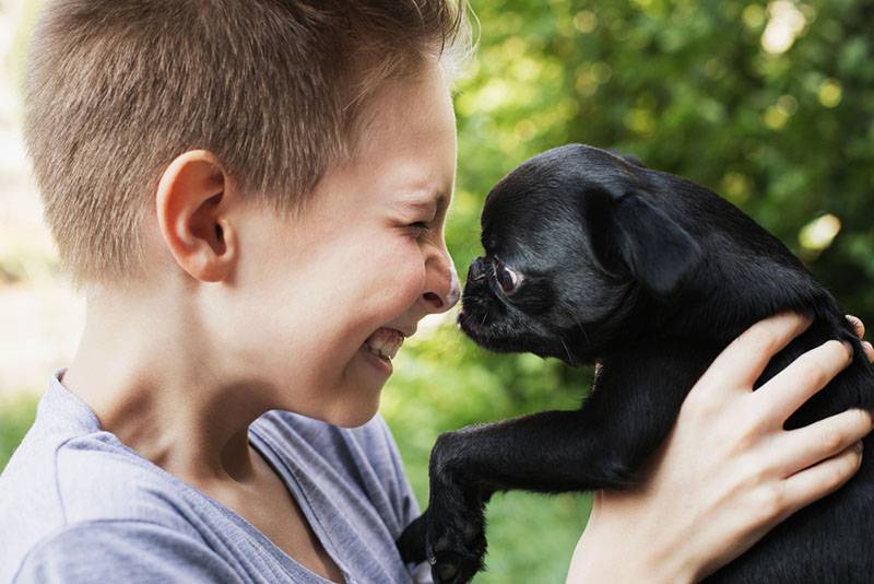 мальчик и черный пти брабансон