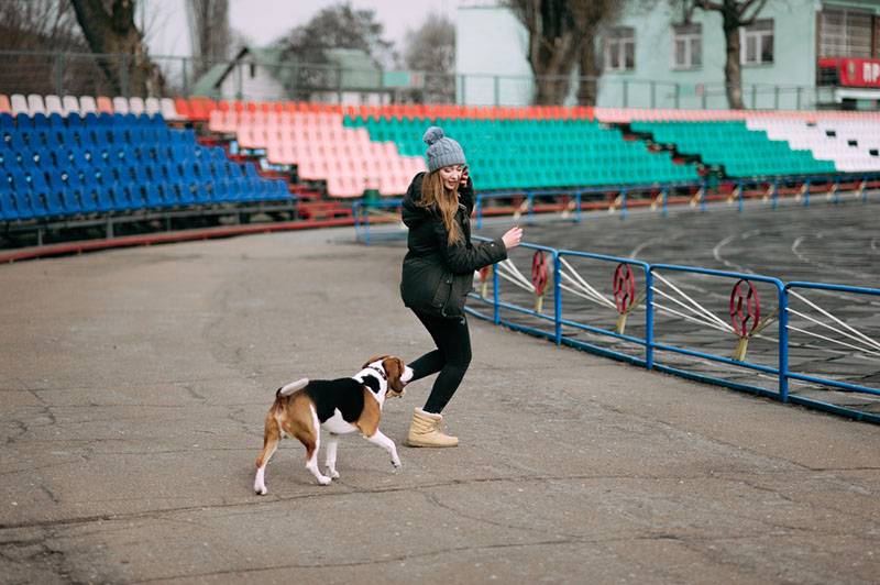 девушка с эстонской гончей на стадионе