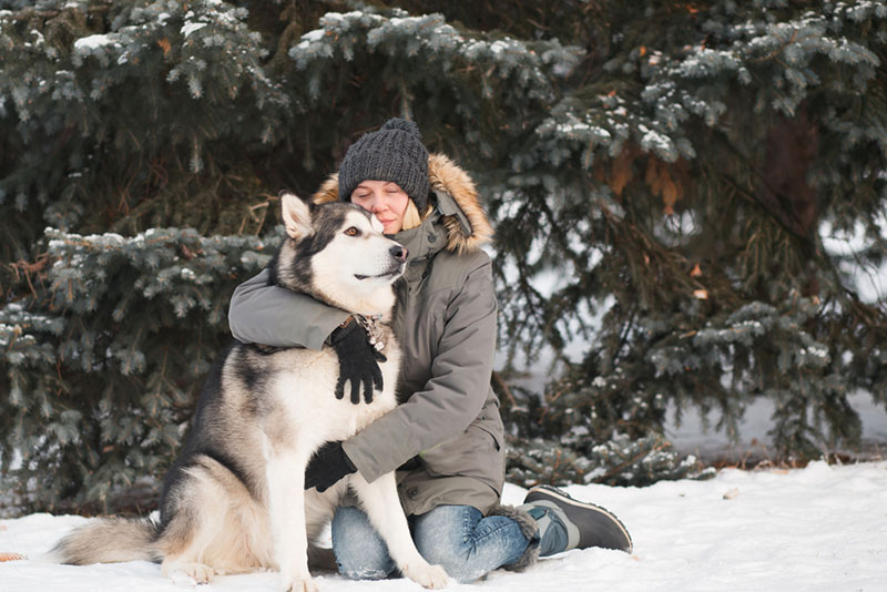 хозяйка обнимает своего аляскинского маламута