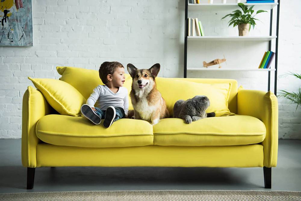 Лучшие породы собак для детей и семьи в квартире