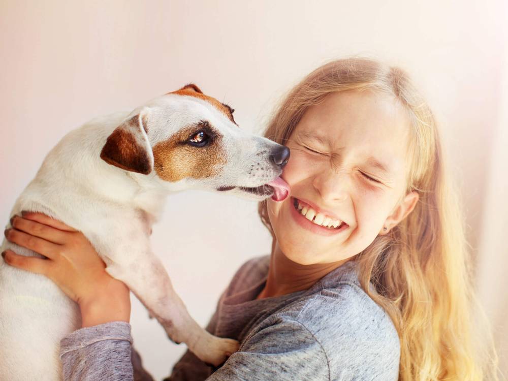 Kiss The Dog         - Envato Elements