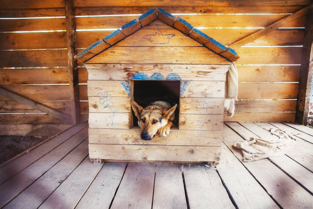 12 лучших домиков для собак из дерева