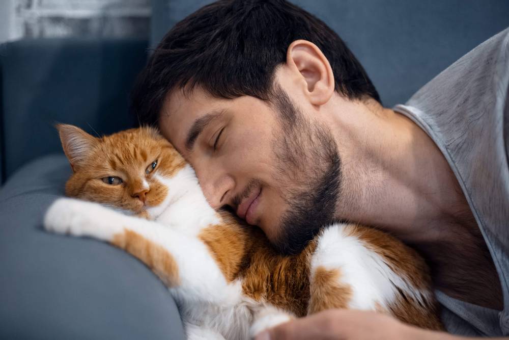 Почему кошка любит спать на голове у хозяина?