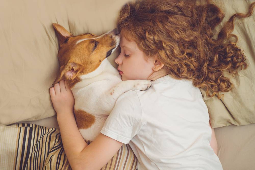 Ученые подтверждают положительное влияние сна с домашними животными на детей
