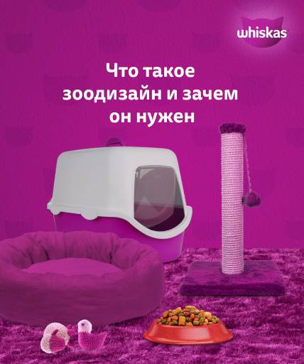 Превью истории