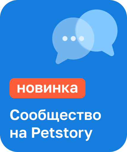 Превью истории