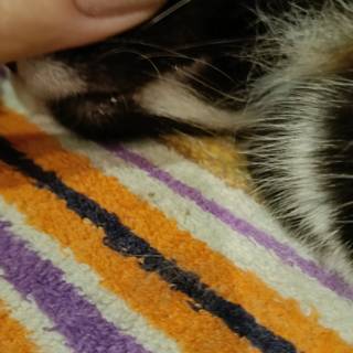 1b041e0644364c3caec81574a9a8dd0b.jpeg