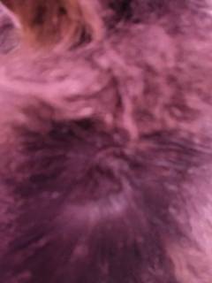 2e64cf4eb1a84c09bb636bdfd7ba23f1.jpeg