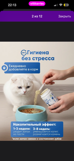 53395f7f4cc74113a5f53a8e16271f9f.png