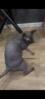 79be193c273f406d80272fa197253886.png