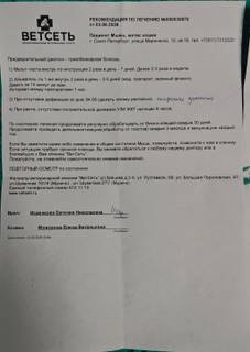 89aeb3b404014a0e888251aed0cab2a9.jpeg