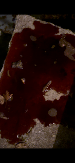 94844619a9304b0b8e0d7d6f059925c9.png