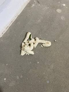 acb9ad052b9d477da780603c14fcb185.jpeg