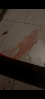 d09282b692e84f7b850c1db18a4e858b.png