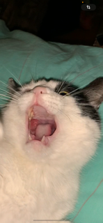 d8e681a6315a4243907e2355b9caa0ec.png