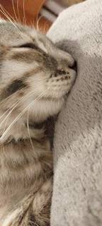 fe6c875768ed487e8a708602187ce929.jpeg