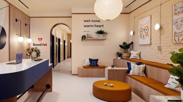 ветеринарная клиника с приятным интерьером
