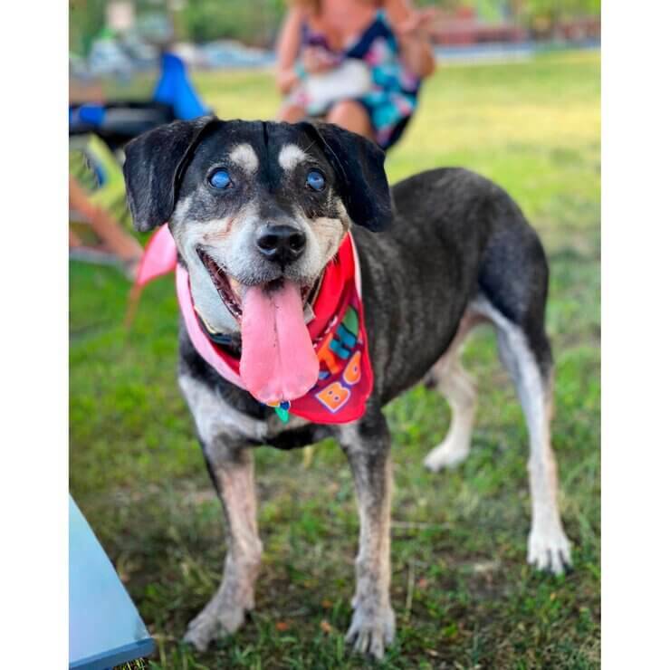 Кипер, 17 лет