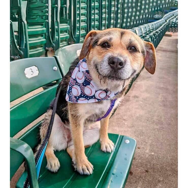 Хэвен, 3 года