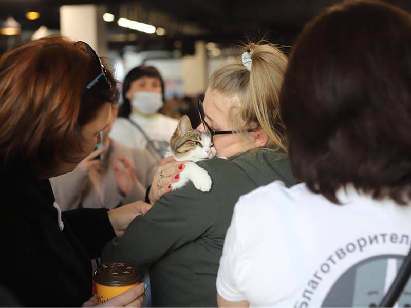 Фото с фестиваля «Собаки, которые любят»