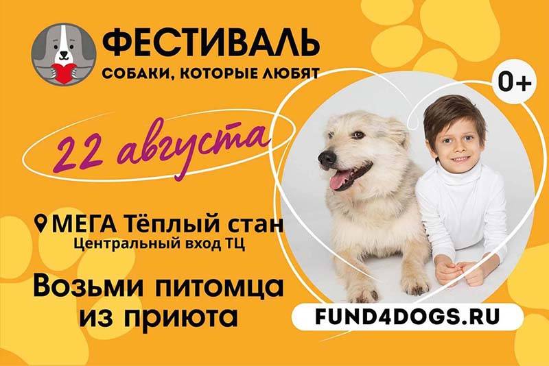 Афиша фестиваля «Собаки, которые любят»