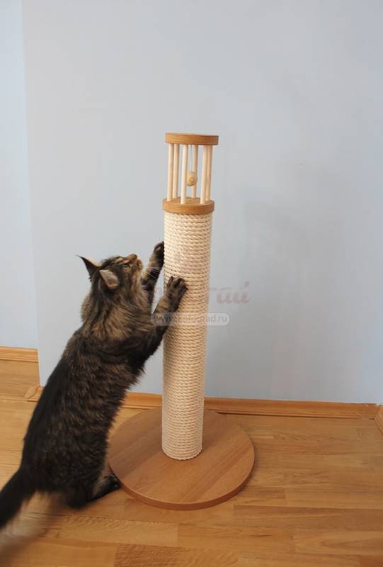 Как сделать высокую когтеточку для кошек своими руками. Будет служить годами!