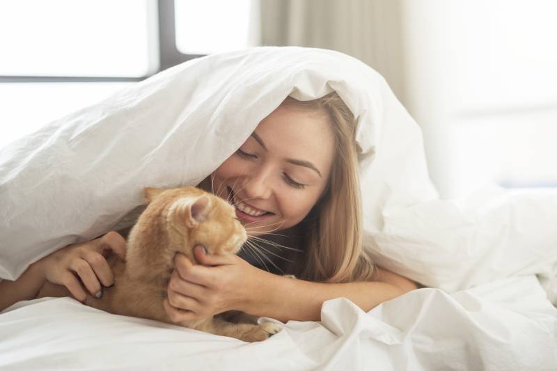 как отучить кошку будить рано утром